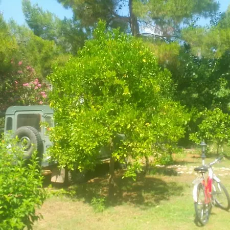 Holiday park Mehmet
