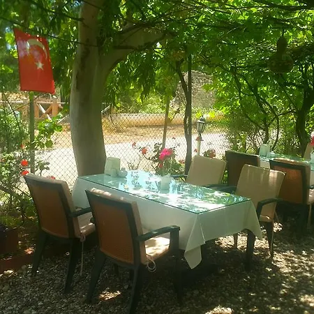 منتزه العطل Mehmet